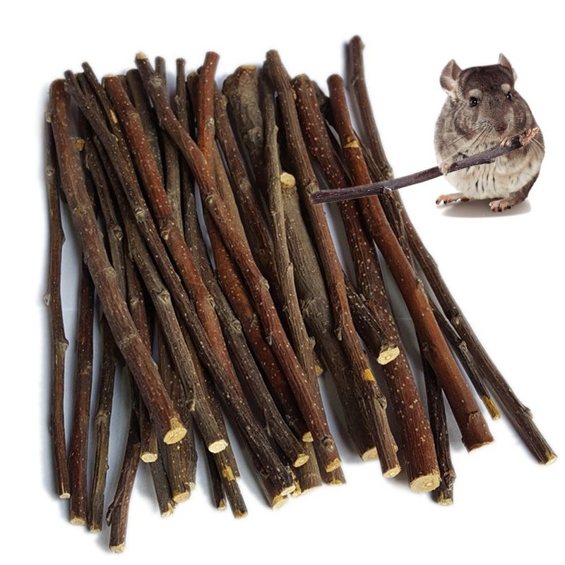 sharllen 100g (3.5oz) Apple Sticks Pet Snacks Chew Toys for Guinea Pigs Chinchilla Squirrel Rabbits Hamster - Image 1